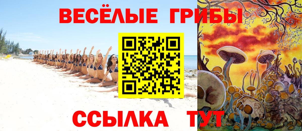 Галлюциногенные грибы мицелий  Галлюциногенные грибы Psilocybe  Вход с VPN  Россия 